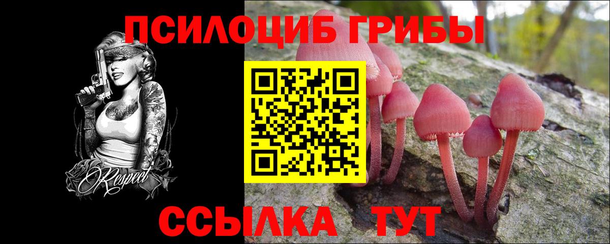 Псилоцибиновые грибы прущие грибы  Вход с VPN  где купить наркоту  Мичуринск  Галлюциногенные грибы Psilocybe 